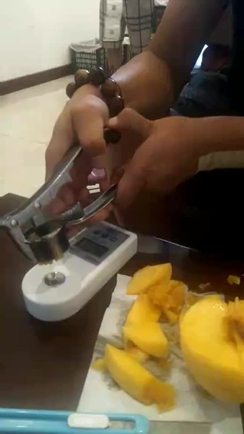 陕西黄桃