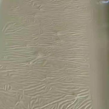 河源纯手工纯黄豆做的腐竹