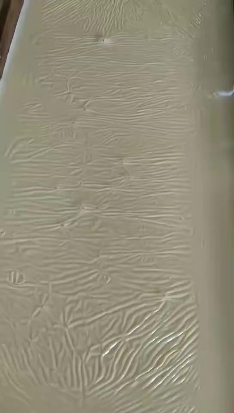 河源纯手工纯黄豆做的腐竹