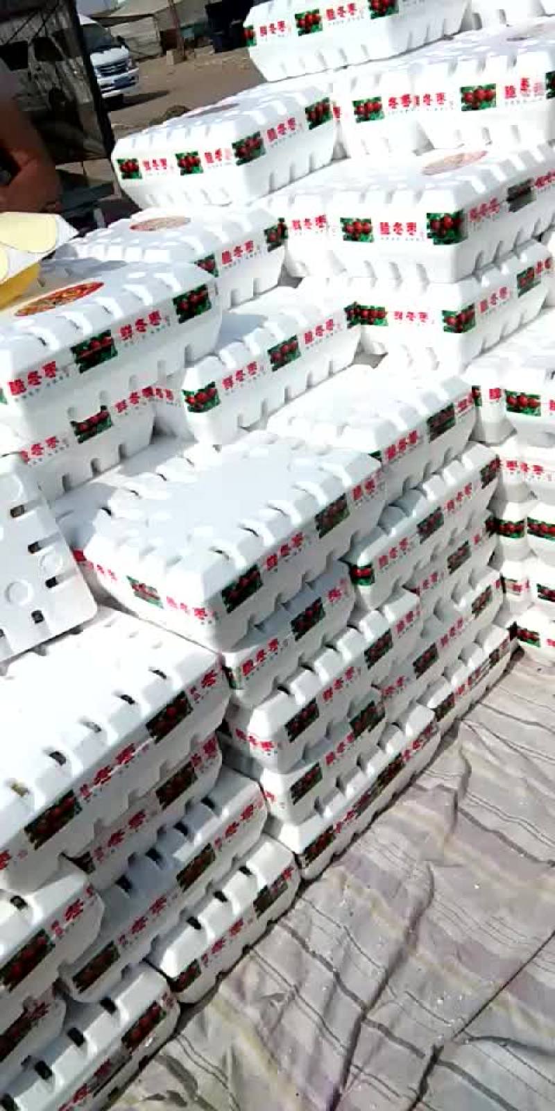 冬枣产地实力代办，大型场地地址优越，电商对接，