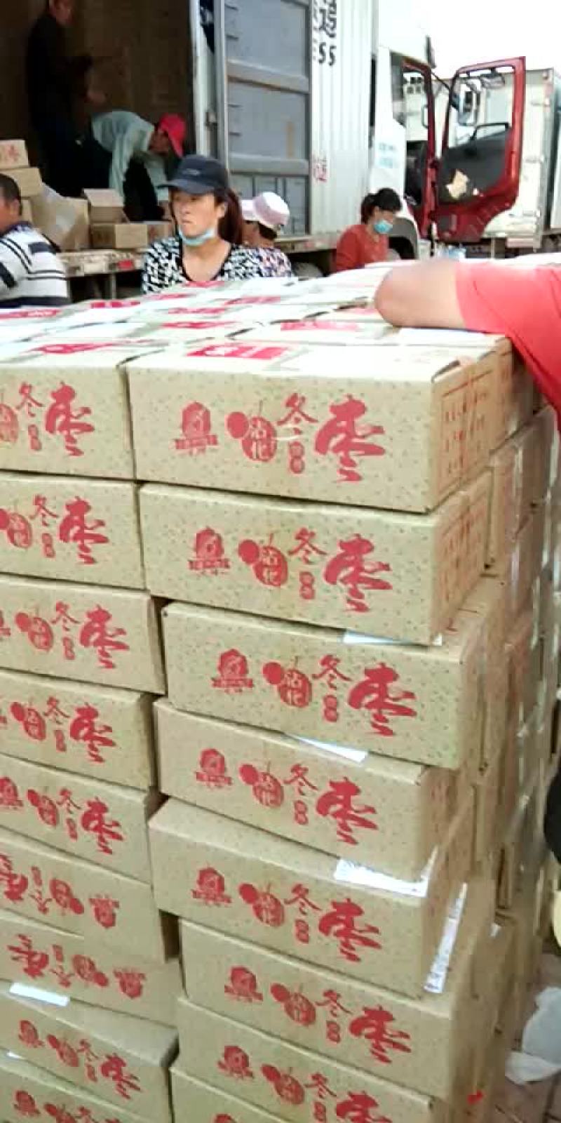 冬枣产地实力代办，大型场地地址优越，电商对接，