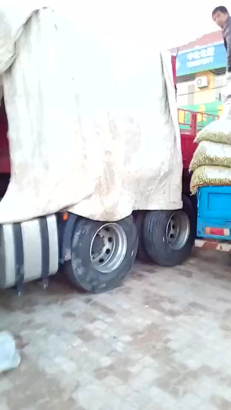 冬枣产地实力代办，大型场地地址优越，电商对接，