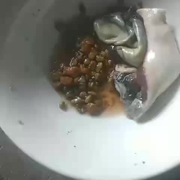猪砂