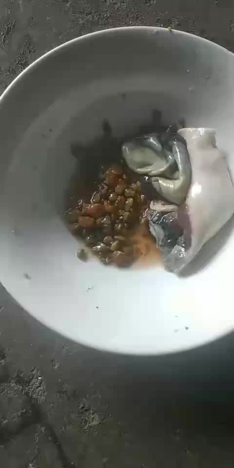 猪砂