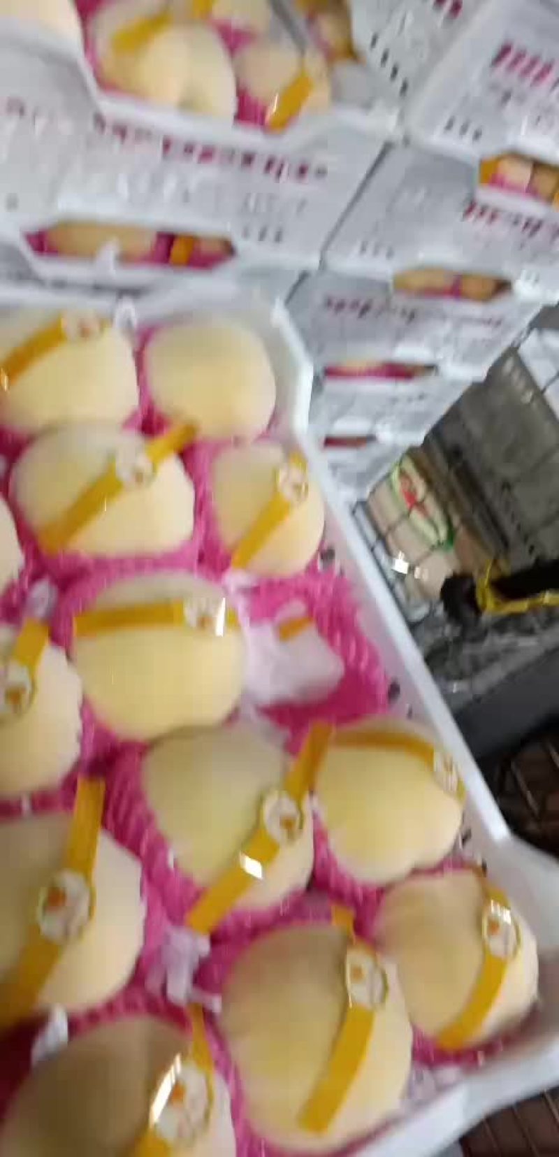 黄金百香果