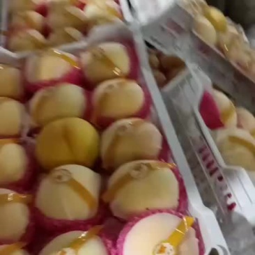 黄金百香果