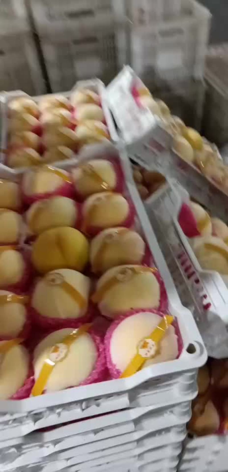 黄金百香果