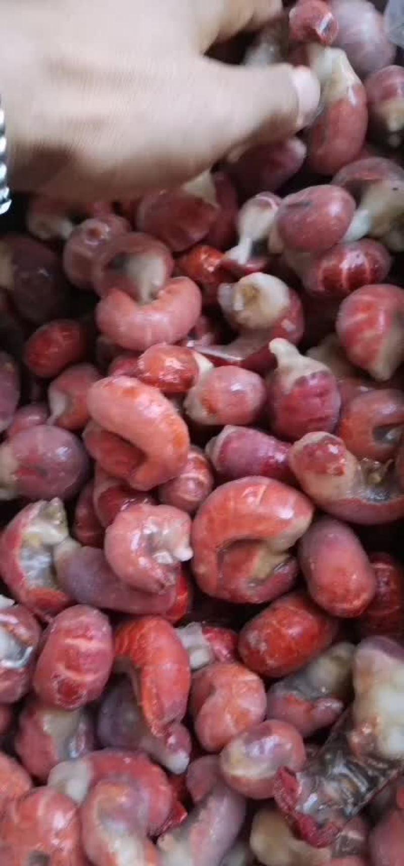 次品龙虾尾60