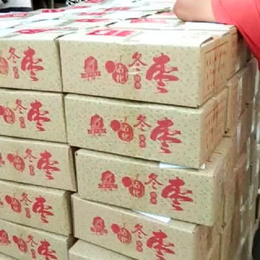 冬枣，电商对接，基地直供，地理位置优越，拥有大型场地