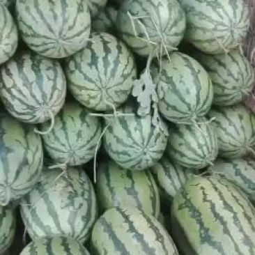 西瓜便宜了