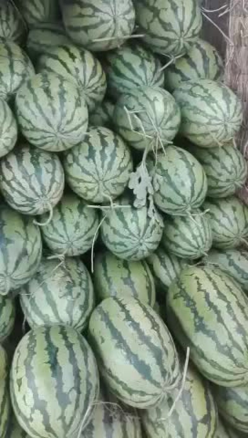 西瓜便宜了