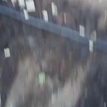 蚯蚓
