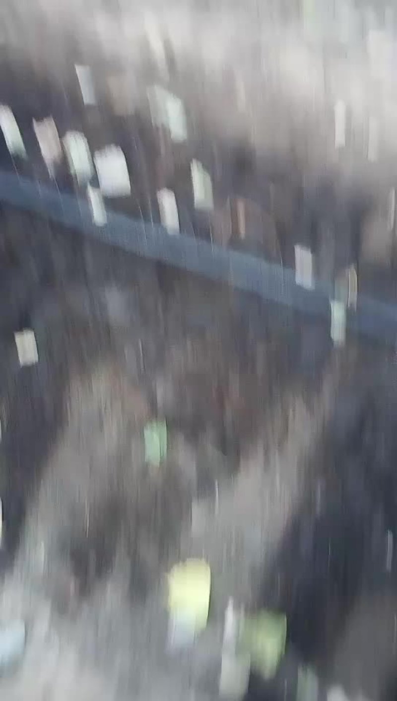 蚯蚓