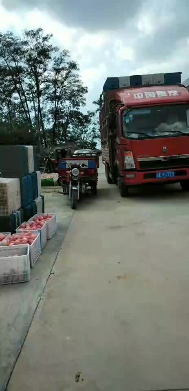 红富士下检苹果销售中
