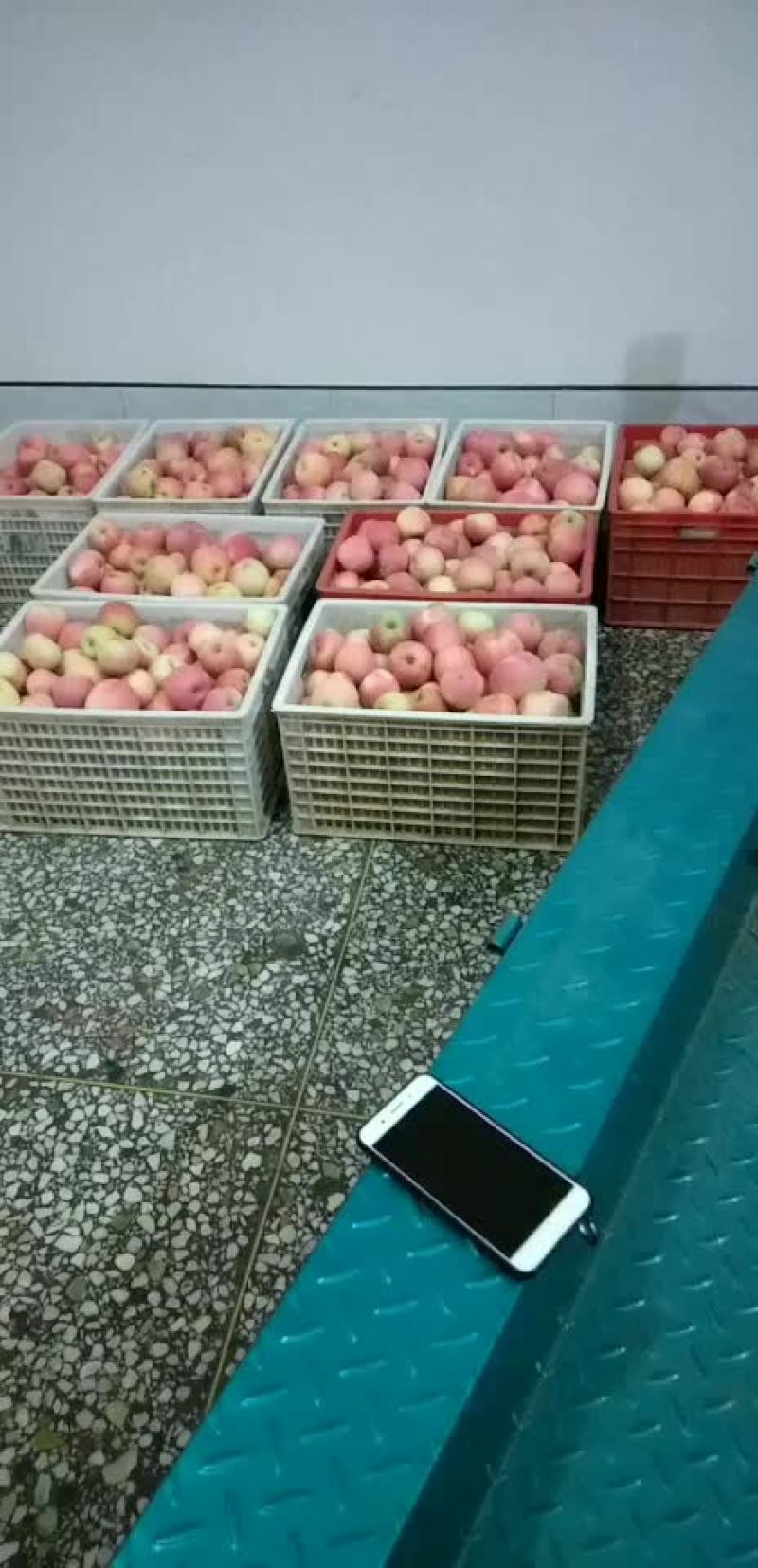 红富士下检苹果销售中