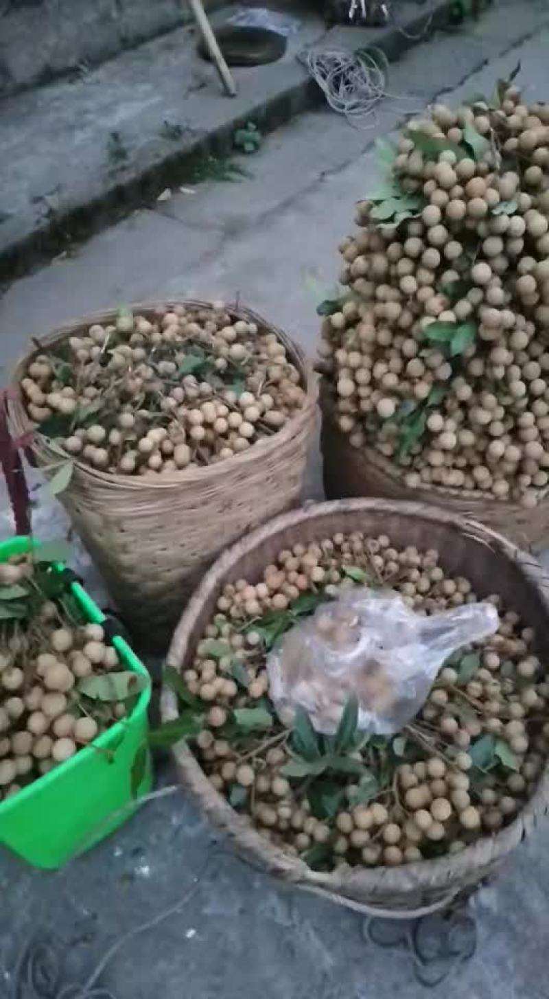 水果