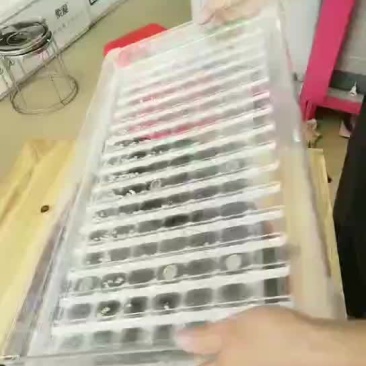 辣椒播种机