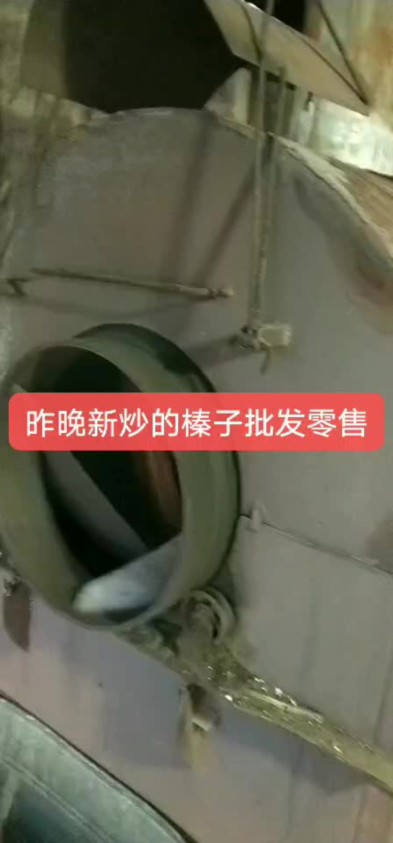 大兴安岭野生榛子