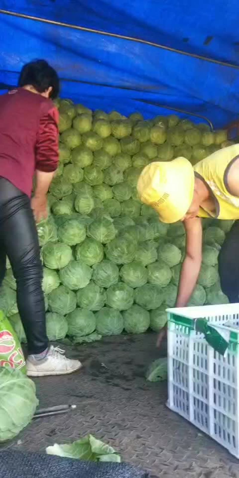 甘兰
