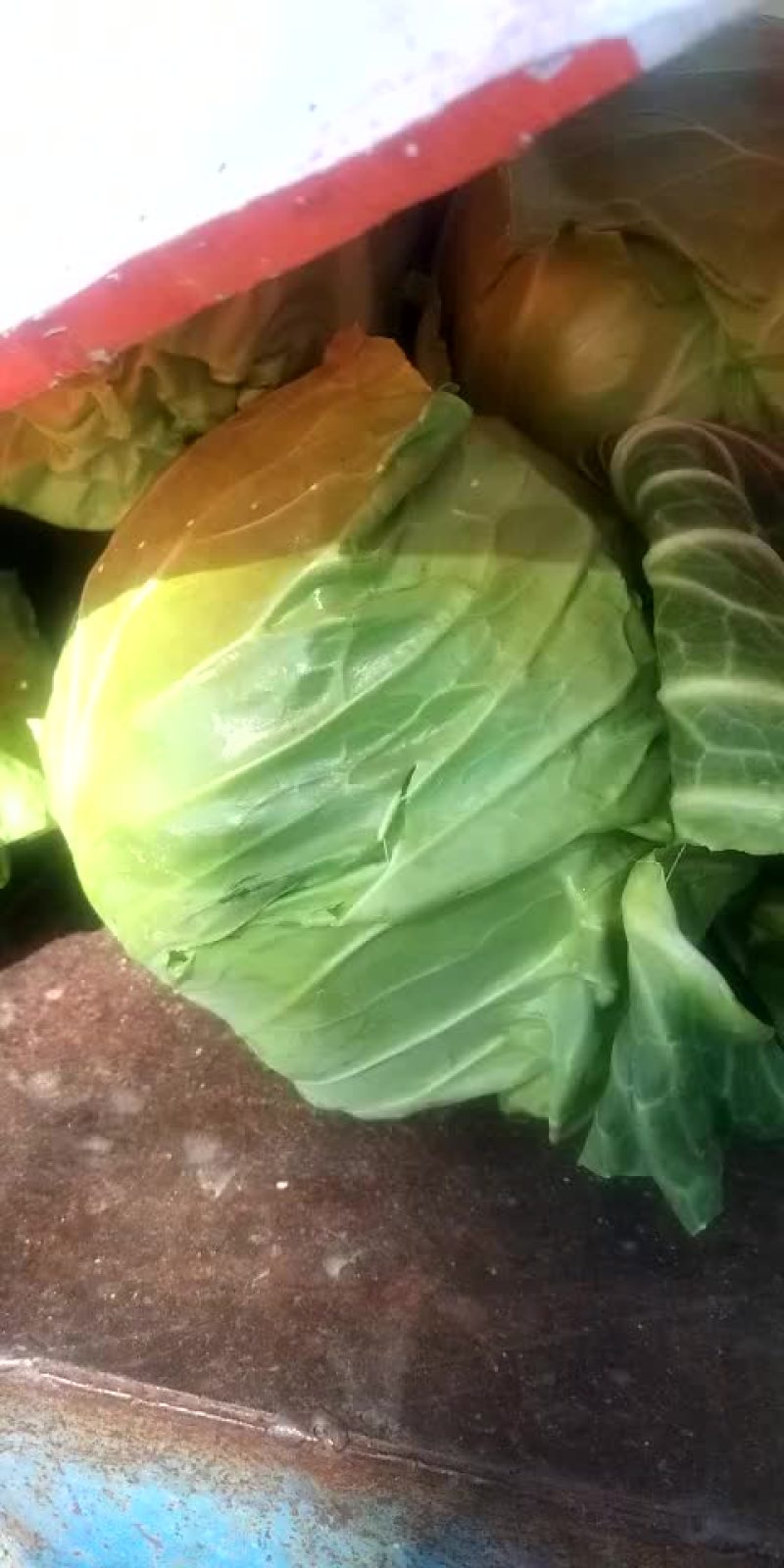 甘兰