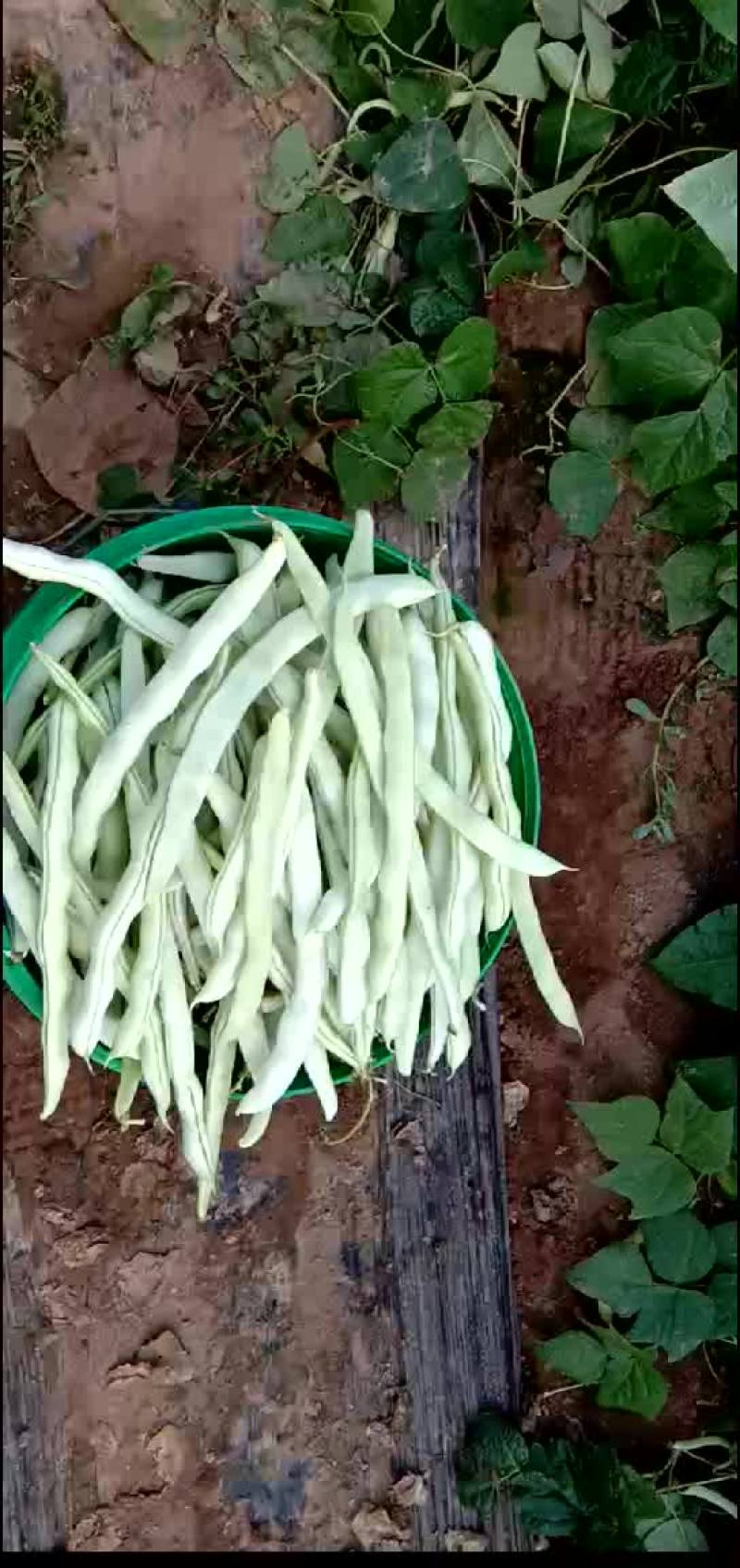 质量好