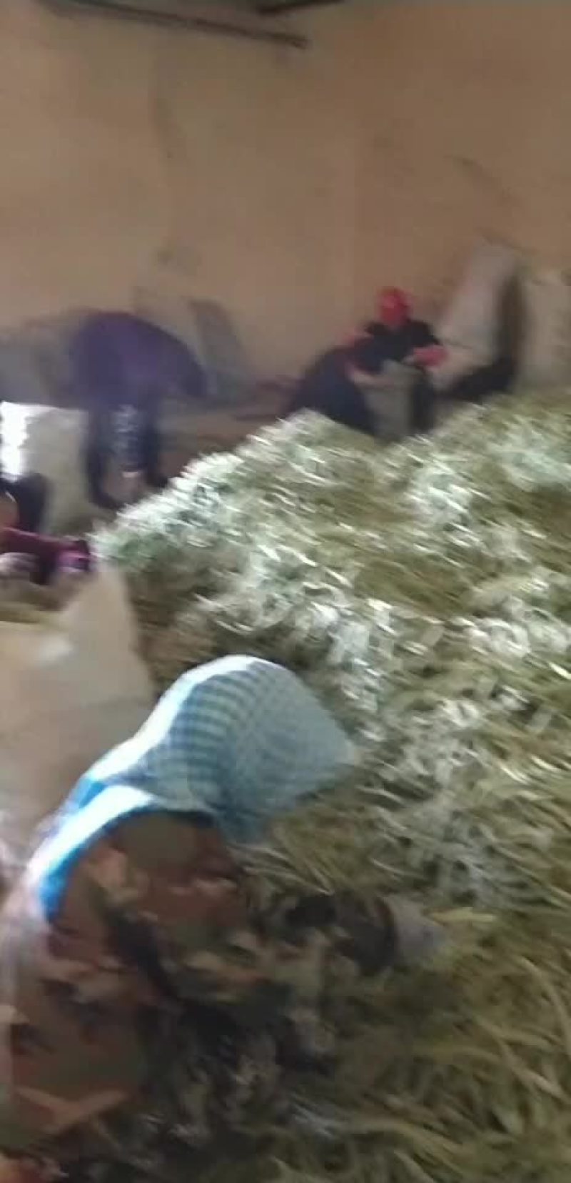 质量好