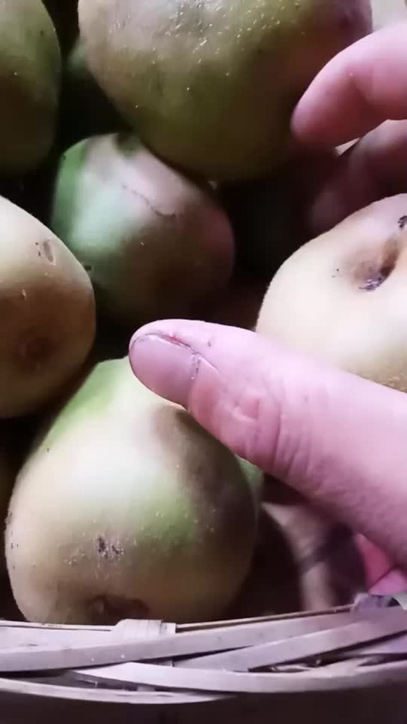 红心猕猴桃