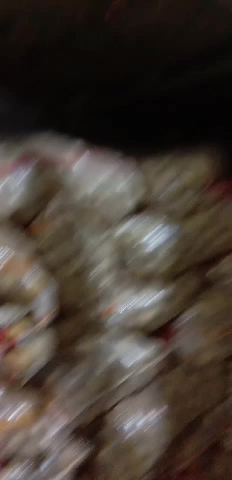 土豆