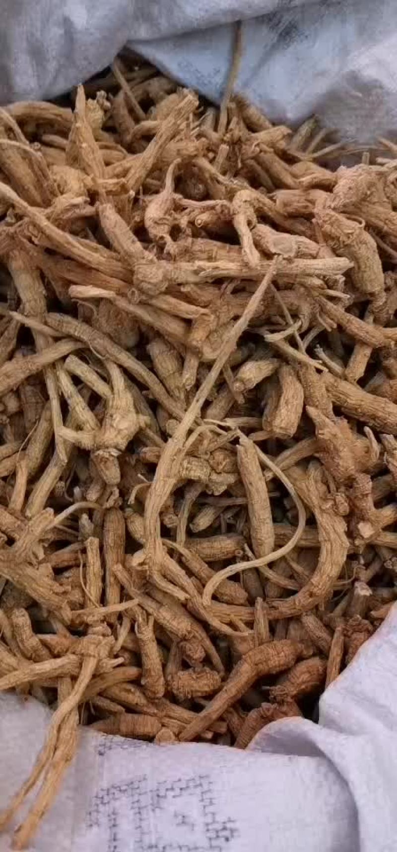 进口西洋参统货