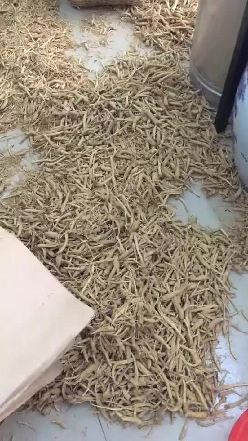 进口西洋参统货