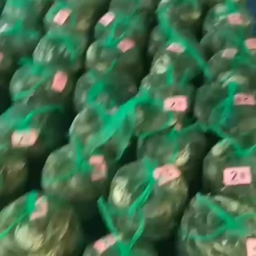 大闸蟹