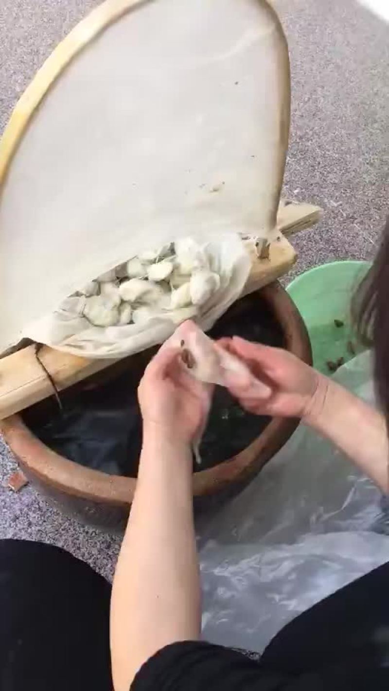 蚕丝被