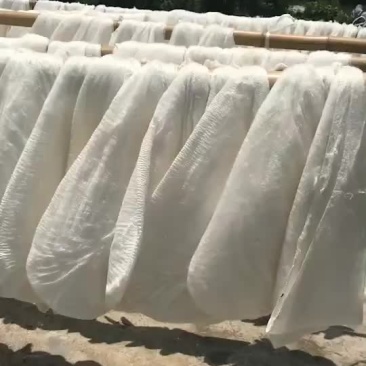 蚕丝被