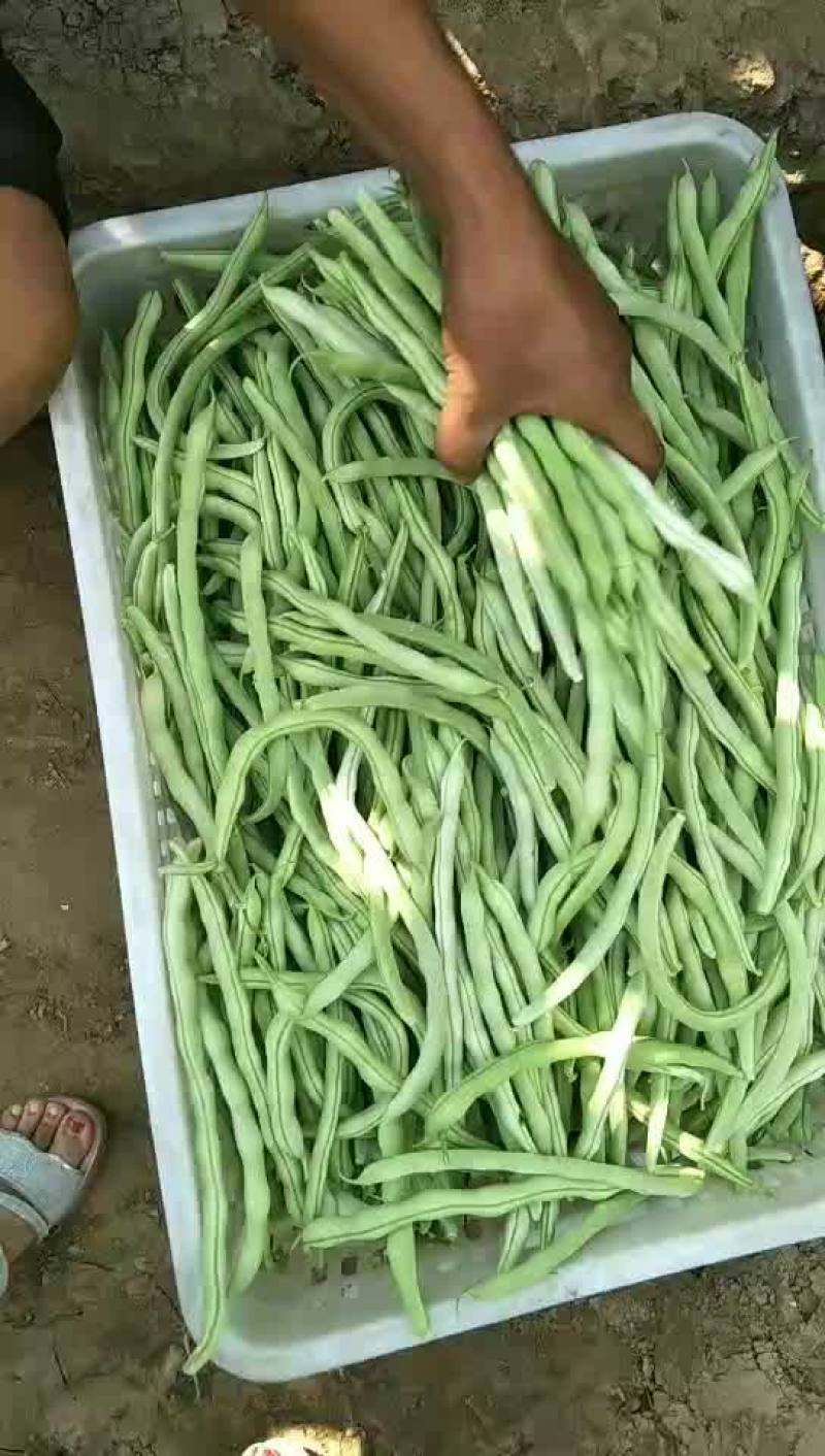 豆角