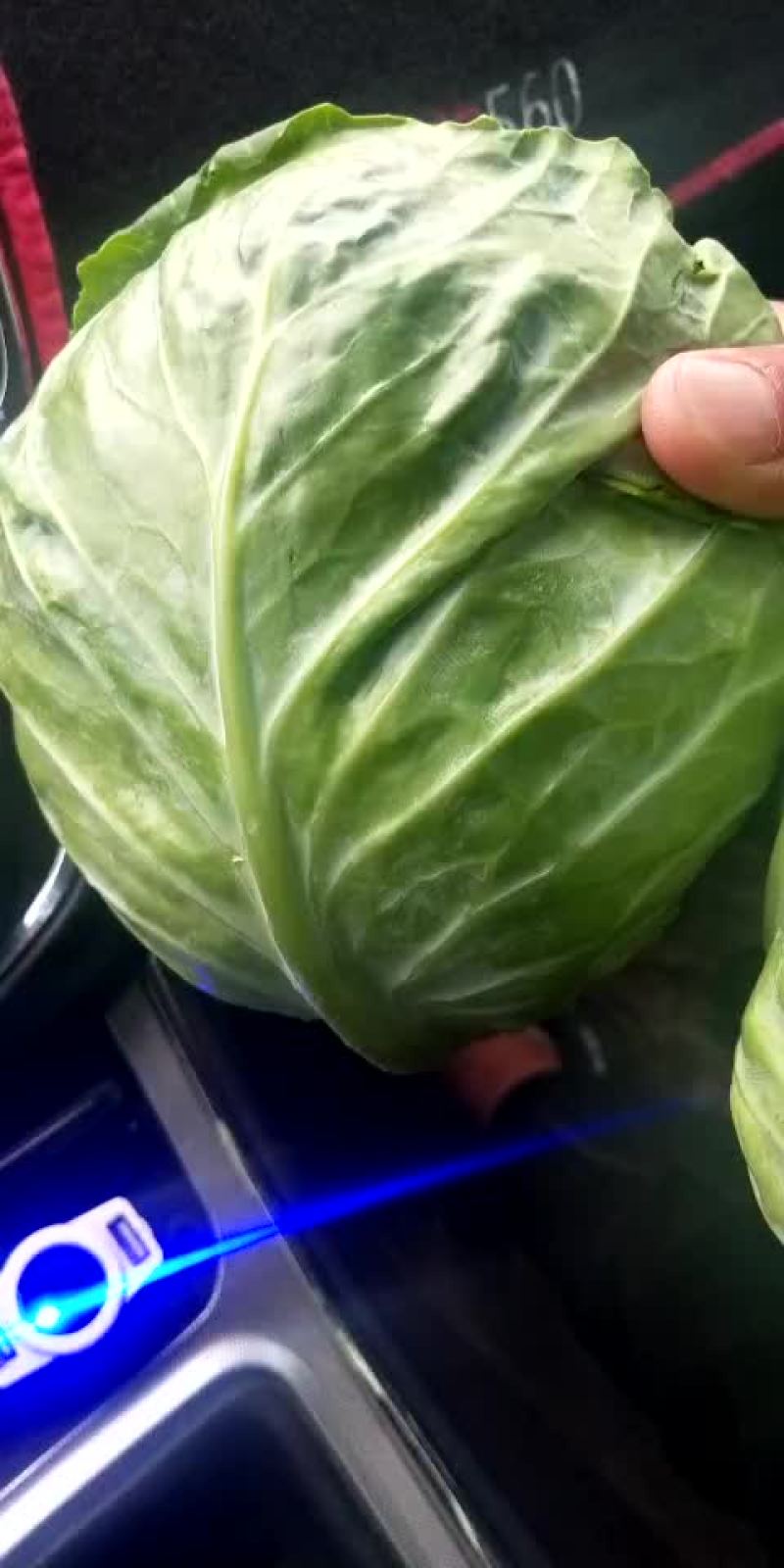 甘兰1.5－2.5