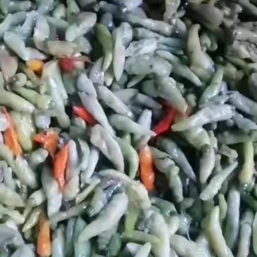 自制小米辣