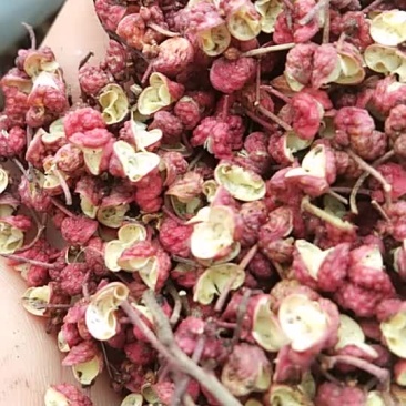 各类花椒
