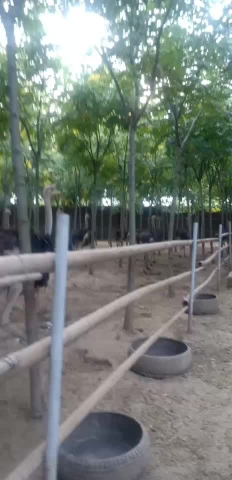 特种养殖