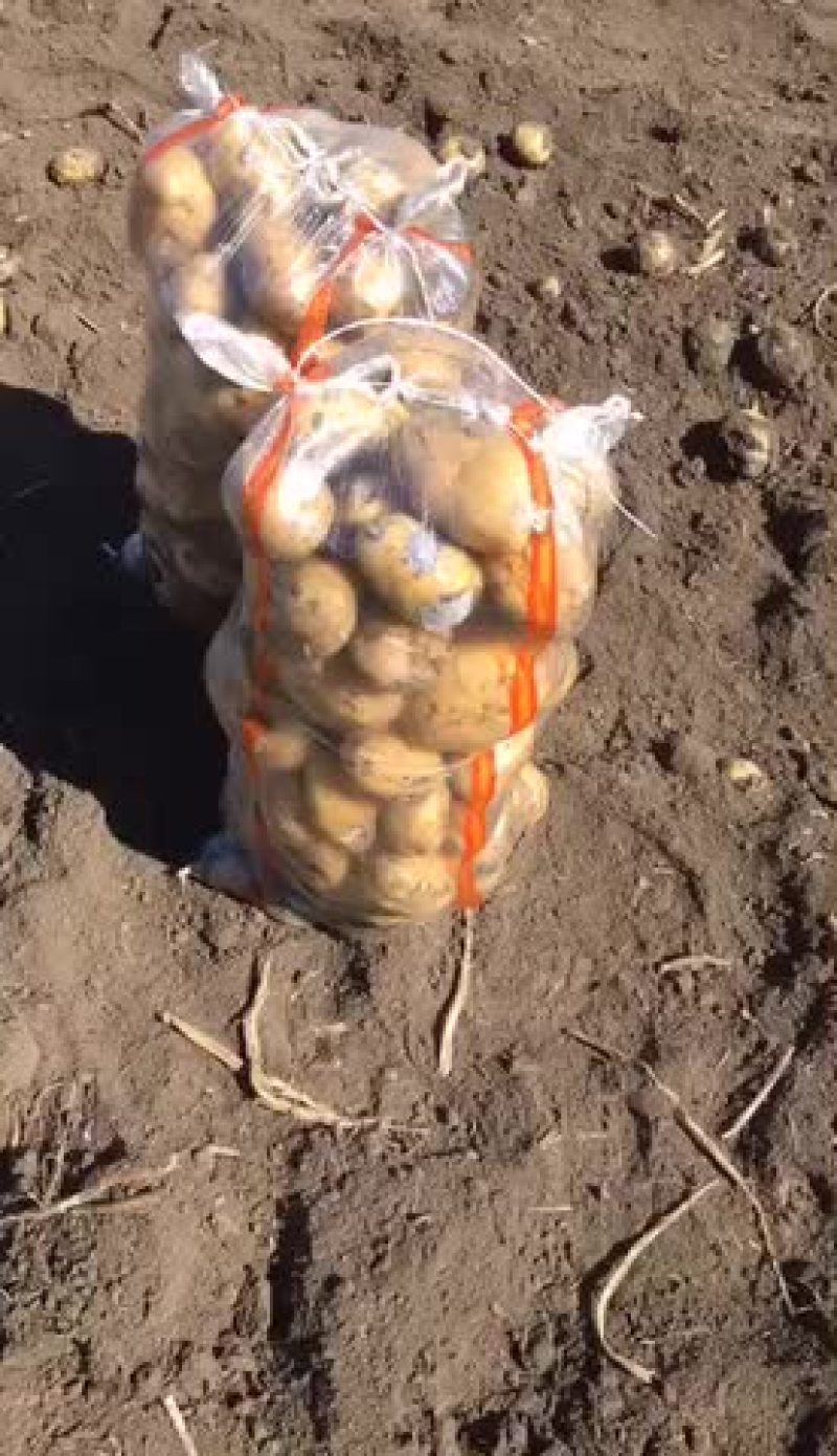 尤金货不多不等人