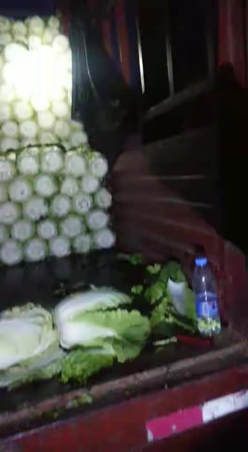 白菜