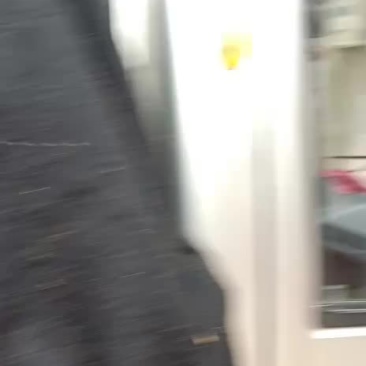 猕猴桃基地直供，品种齐全