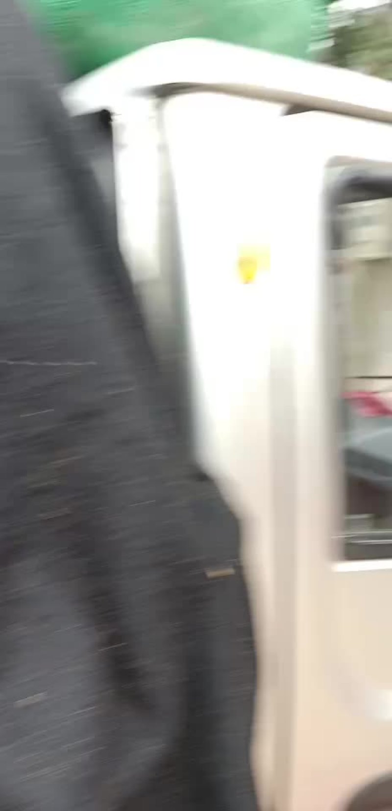 猕猴桃基地直供，品种齐全