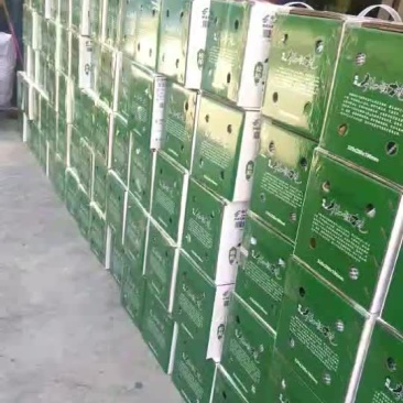 猕猴桃柑橘产地代办