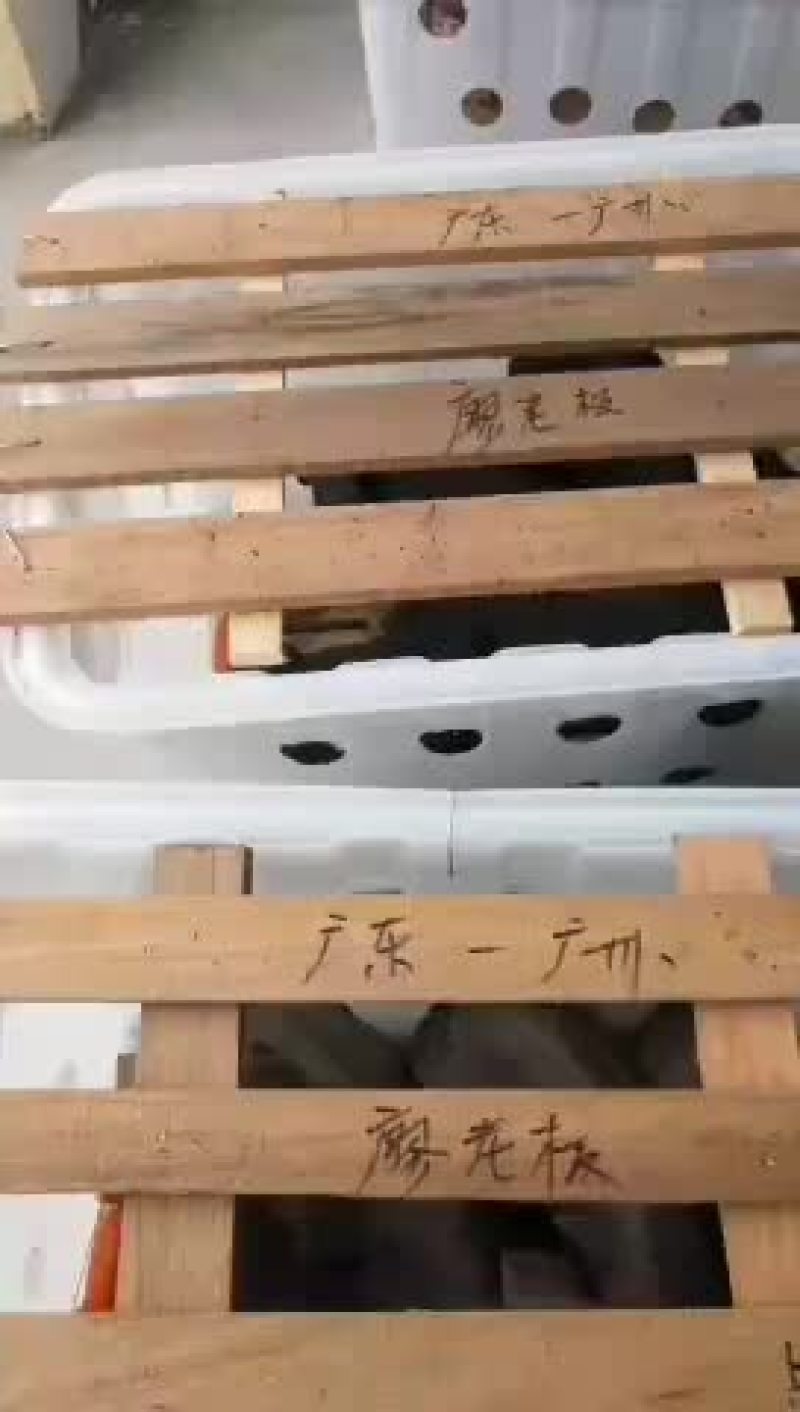原种太湖母猪，苏太母猪，二元母猪，三元仔猪，黑猪，杜洛克