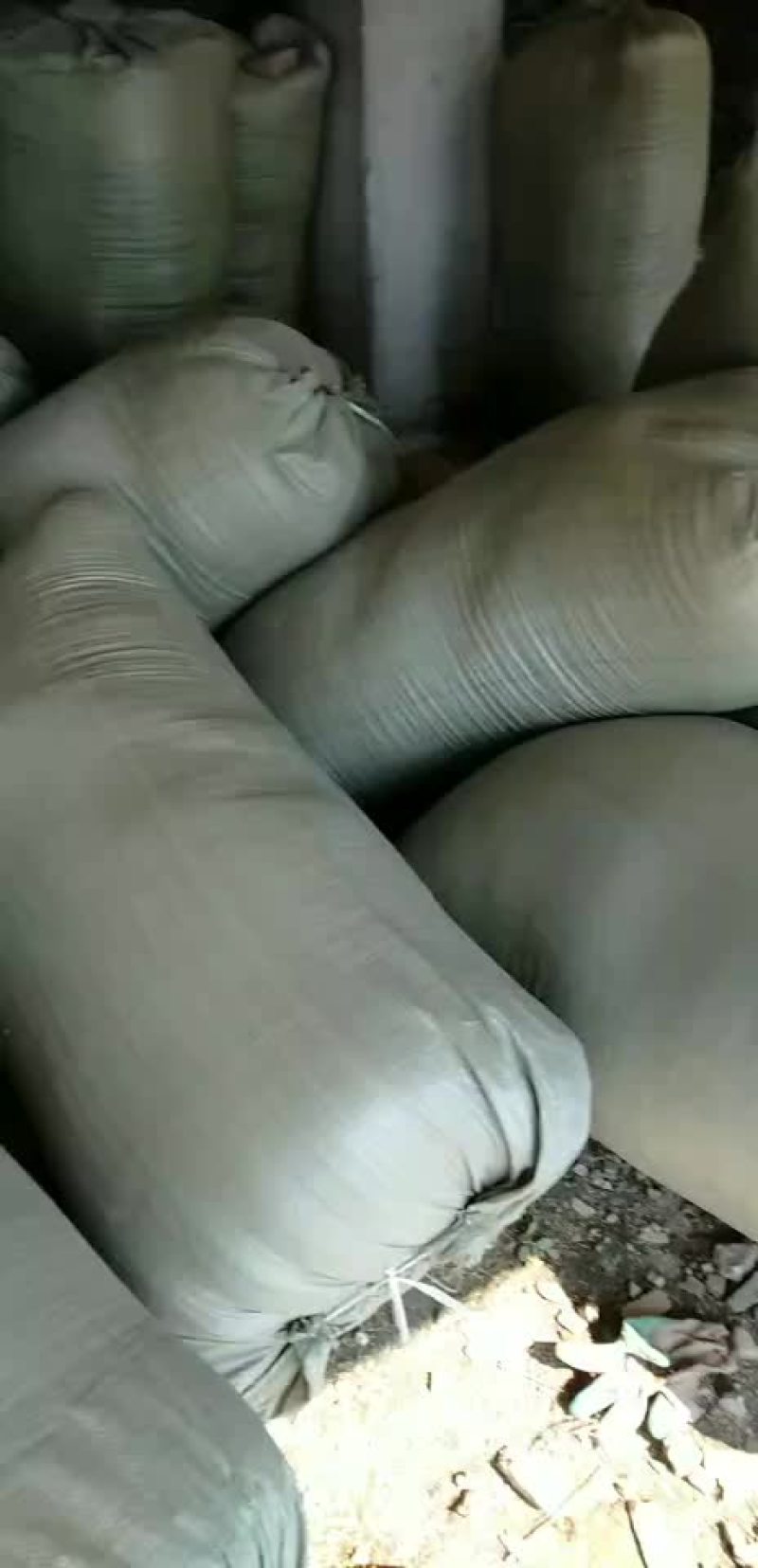 谷壳大量出售950一吨