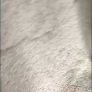 谷壳大量出售950一吨