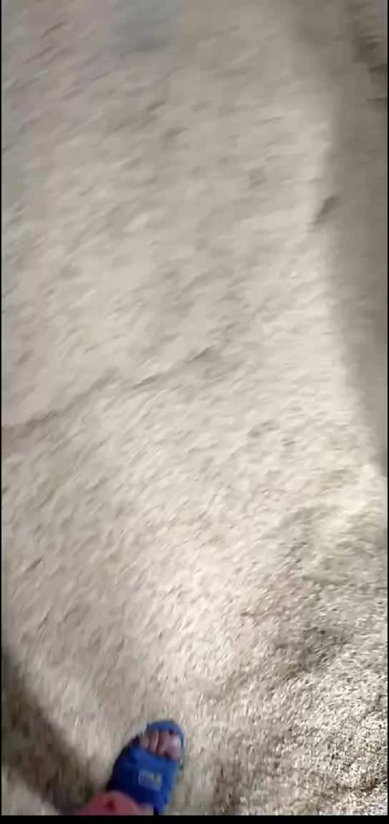 谷壳大量出售950一吨