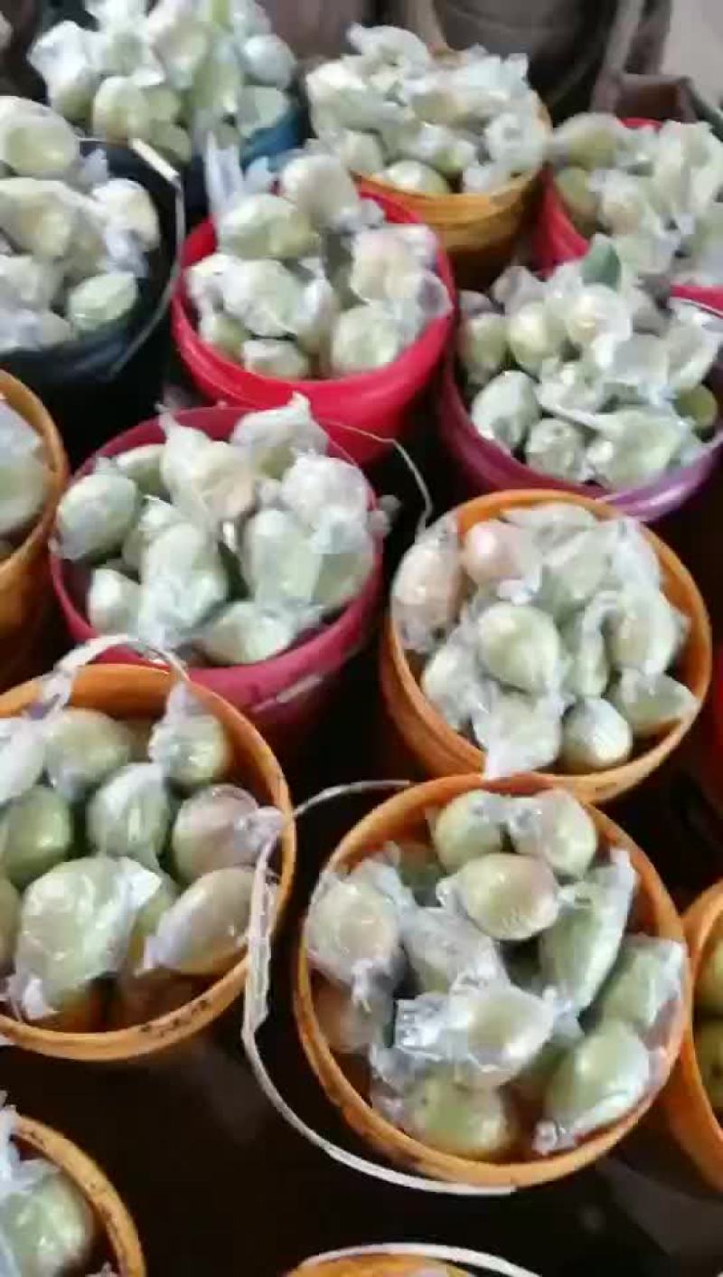 红香酥梨