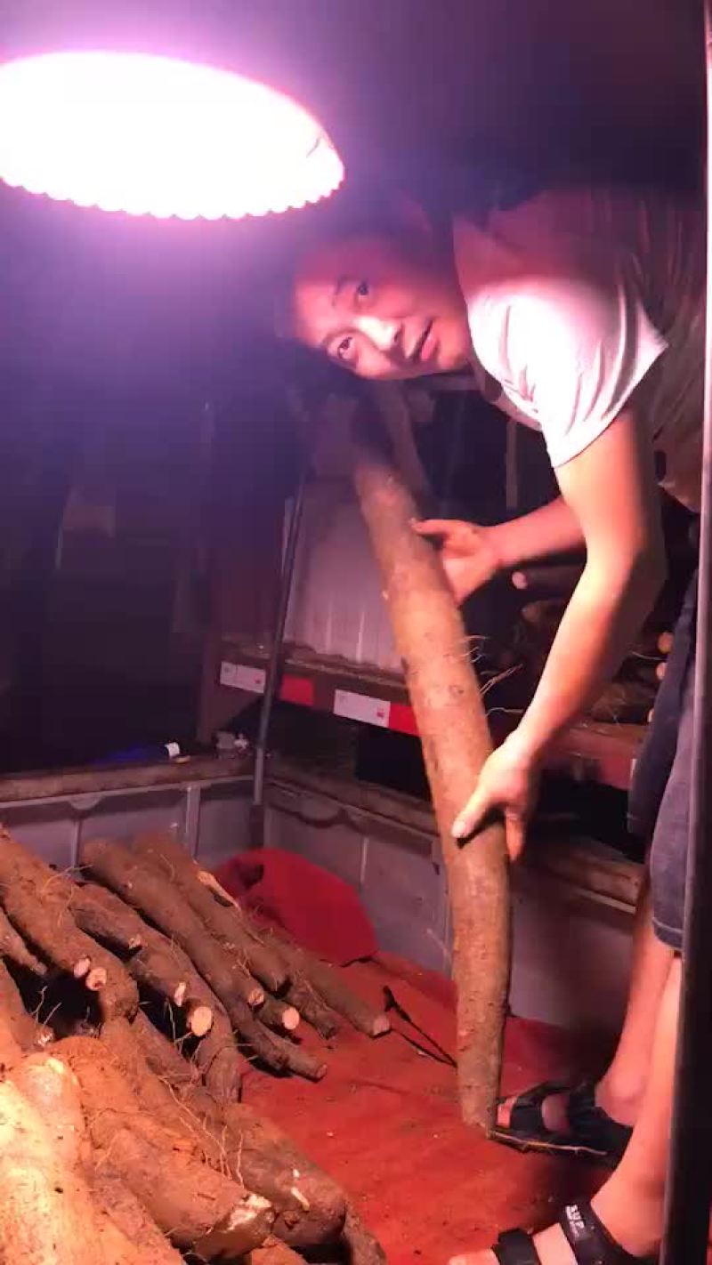 山药，30~80长的。