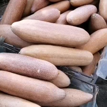 豆角